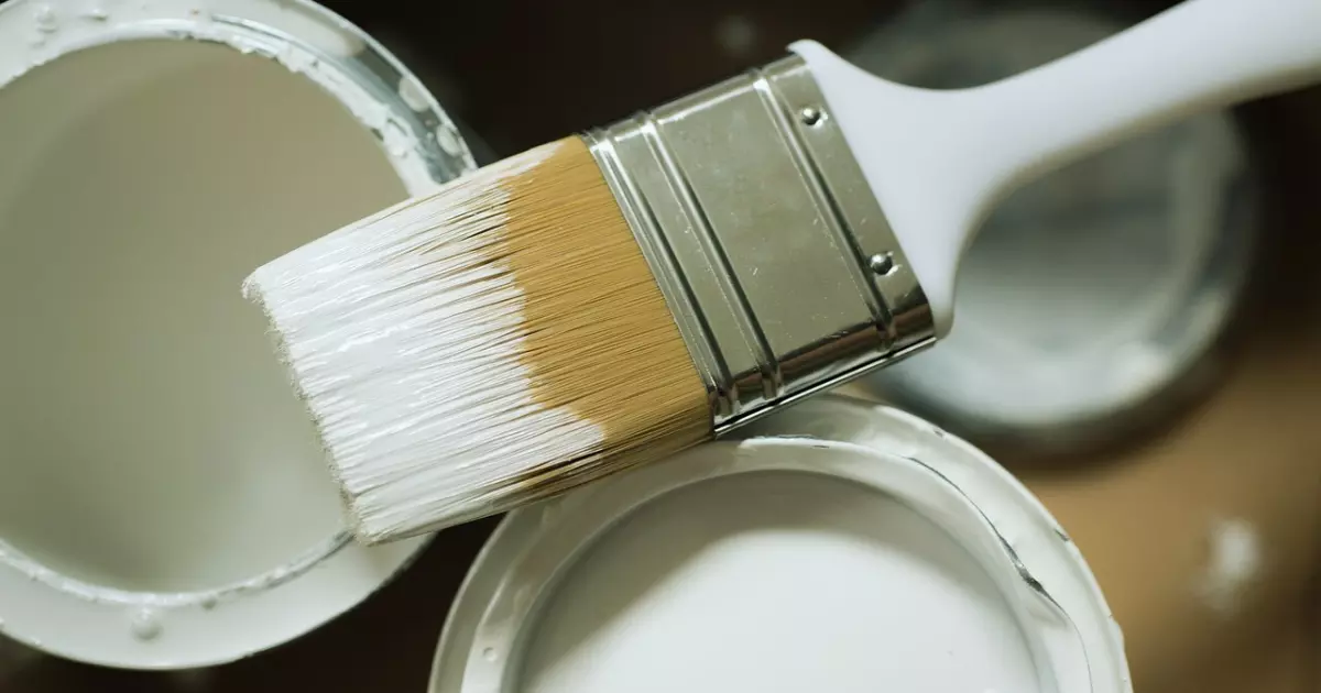 What Are The Characteristics of Eco Friendly Paints