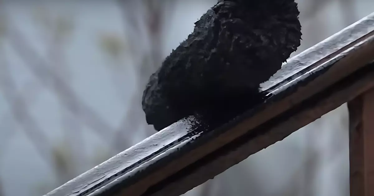 black paint on metal
