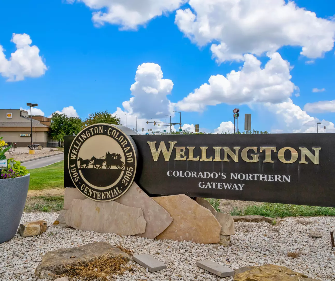 Everything You Need to Know About Wellington CO