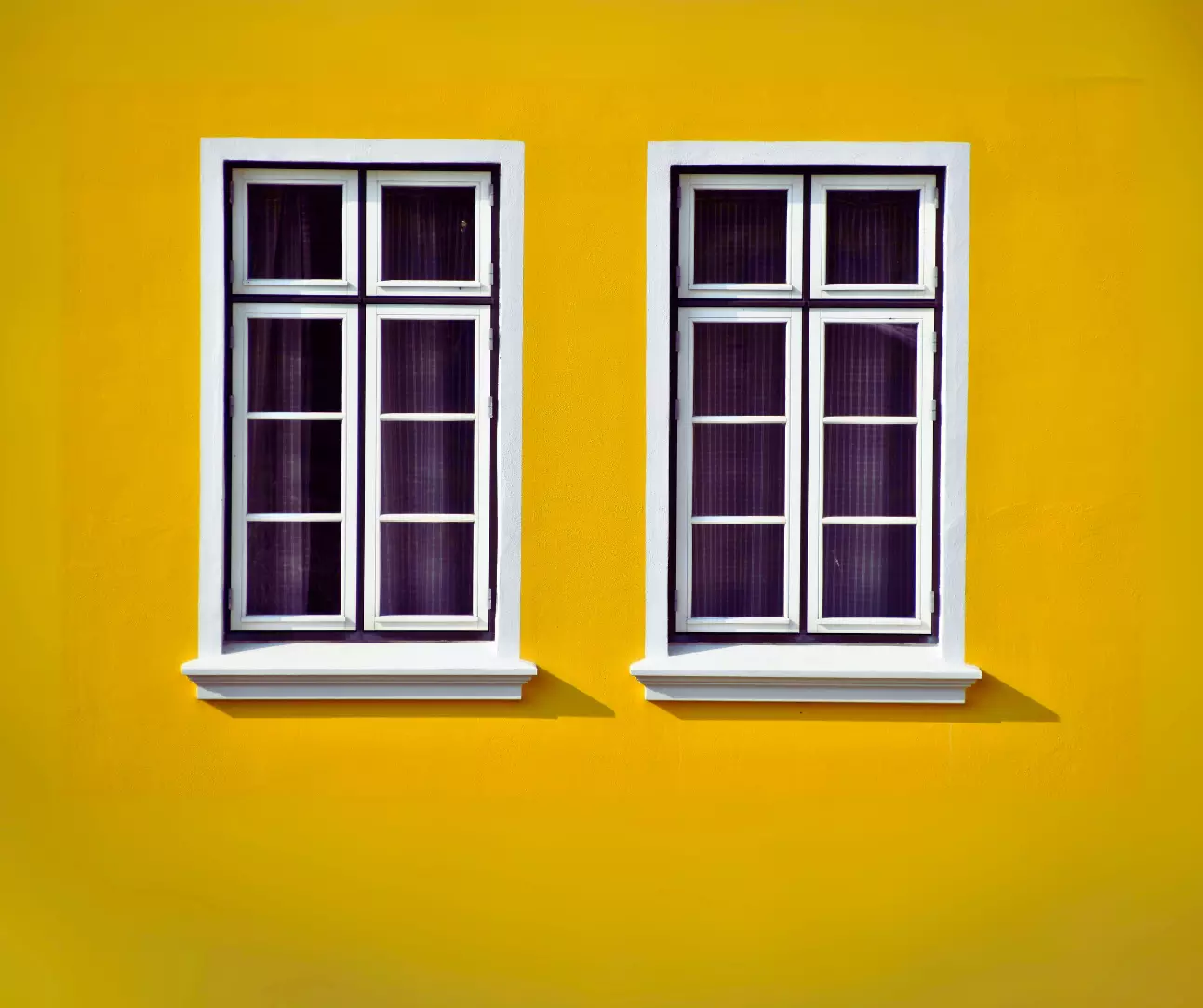 House Painting